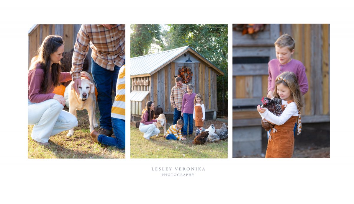 nc family photography, nc family photographer, family portraits, Wilmington nc photography, Wilmington nc family photographer, candid family photography, photography, farm photography, children portrait photography, family photographer, pet portrait photography, pet photography