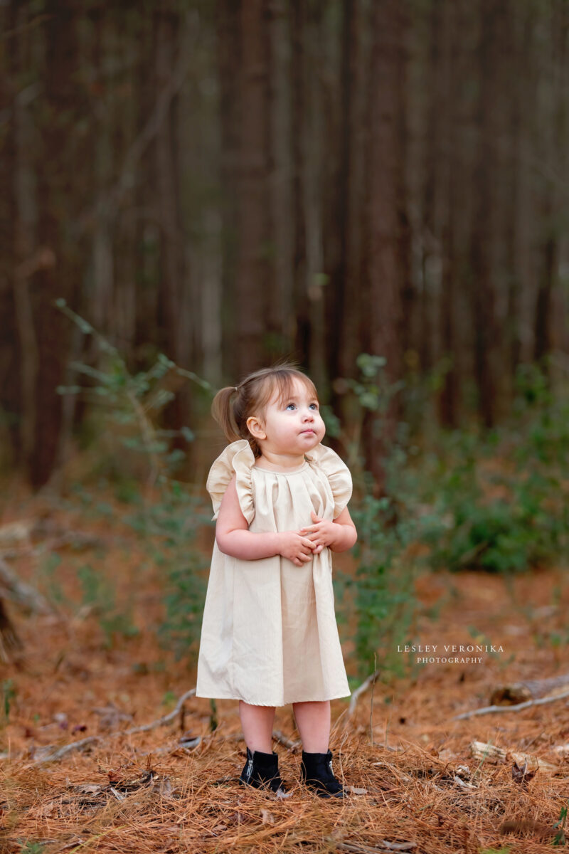 child portraiture, family portraits, wilmington nc